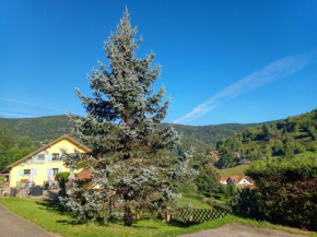 Les Sapins Bussang